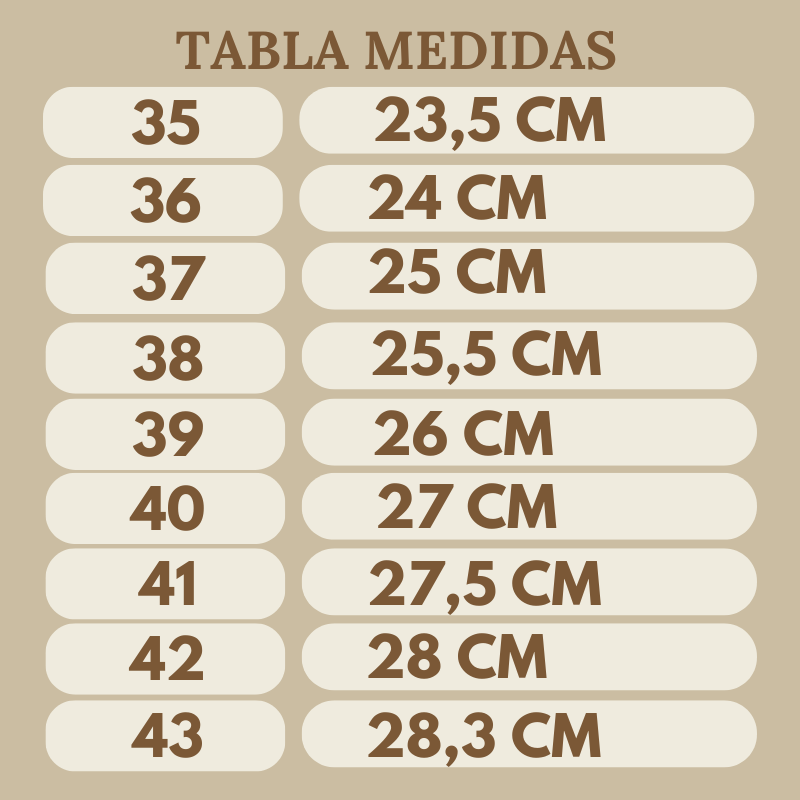 CALZADO Y41